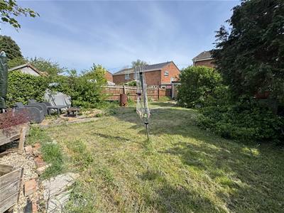 Picture 20